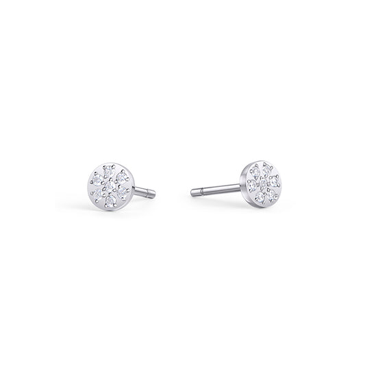 Crystal Dusk Earrings