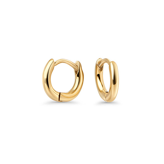 Secret Aura Earrings